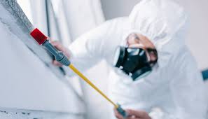 Best Pest Control for Hotels  in Ogden, NC